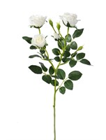 Роза (белый) (12)